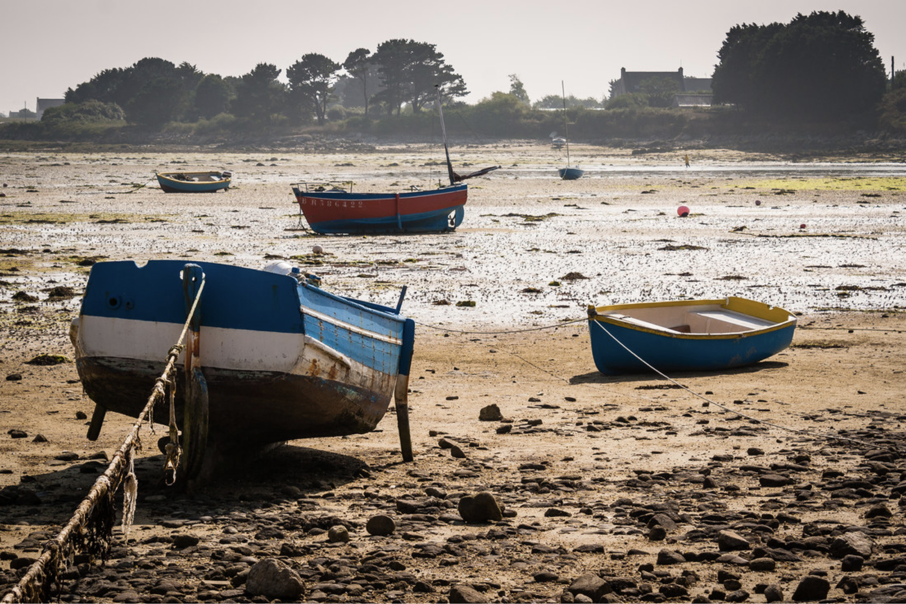 picture of boats high and dry on strand